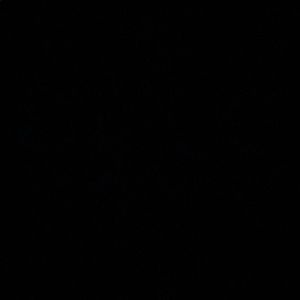 Meet your Posher, Jaynilyz